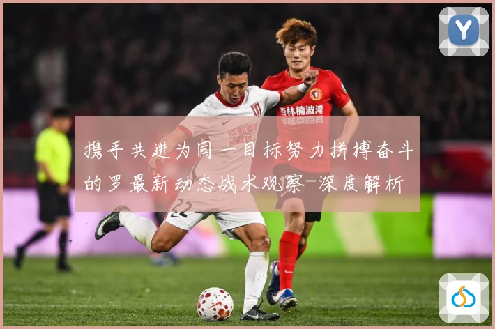 携手共进为同一目标努力拼搏奋斗的罗最新动态战术观察-深度解析