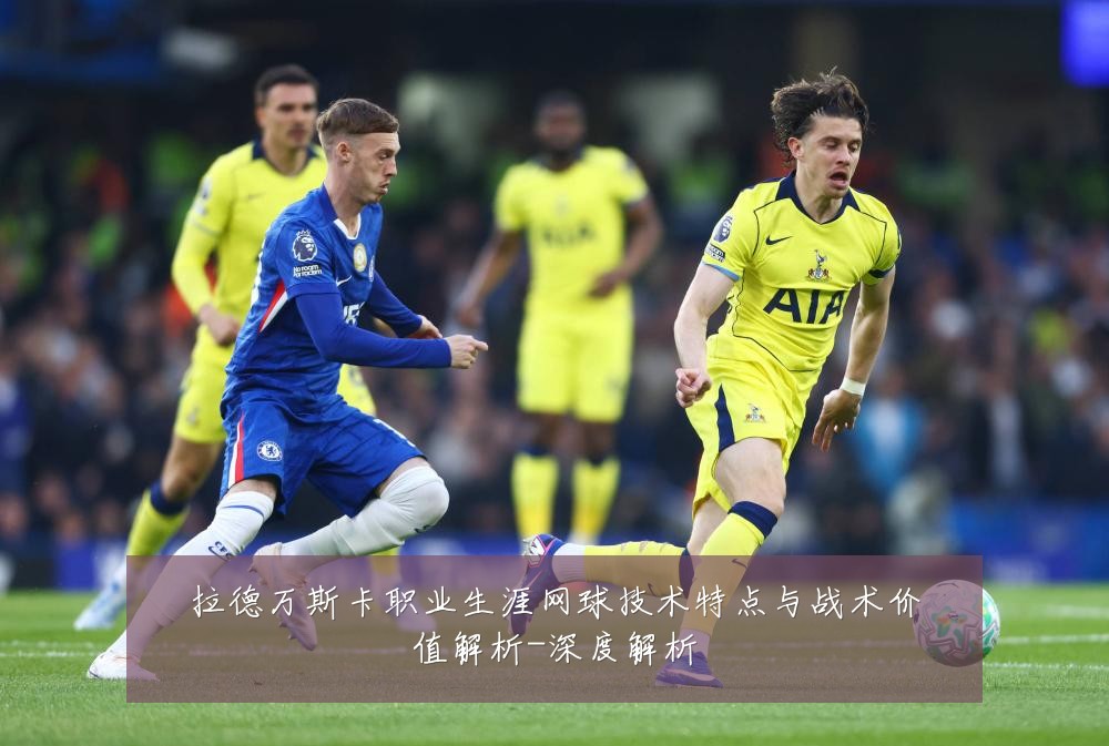 拉德万斯卡职业生涯网球技术特点与战术价值解析-深度解析