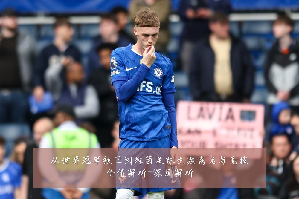 从世界冠军铁卫到绿茵足球生涯高光与竞技价值解析-深度解析