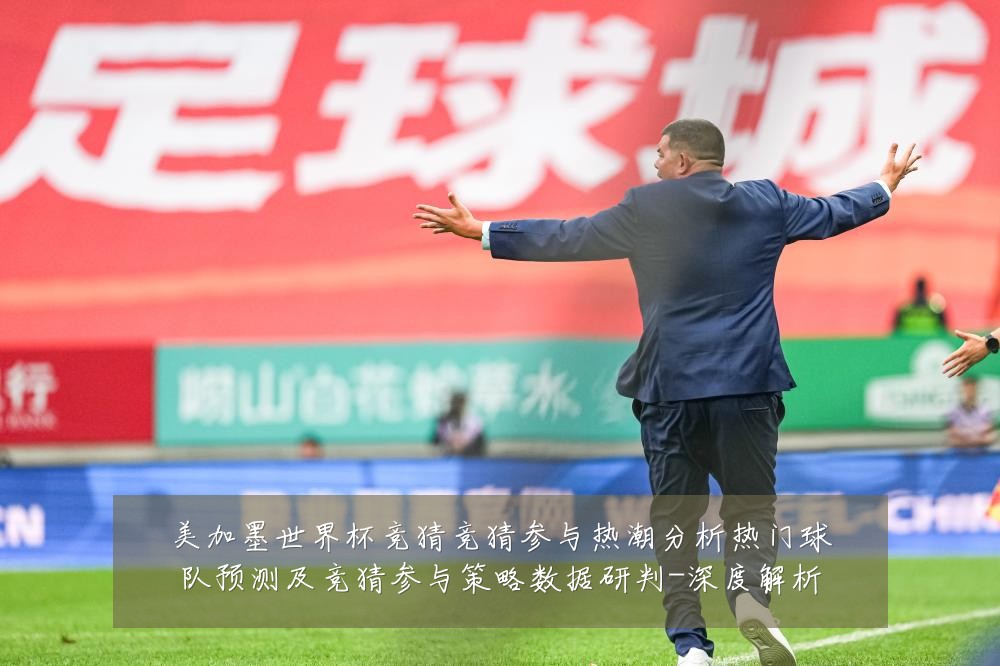 美加墨世界杯竞猜竞猜参与热潮分析热门球队预测及竞猜参与策略数据研判-深度解析